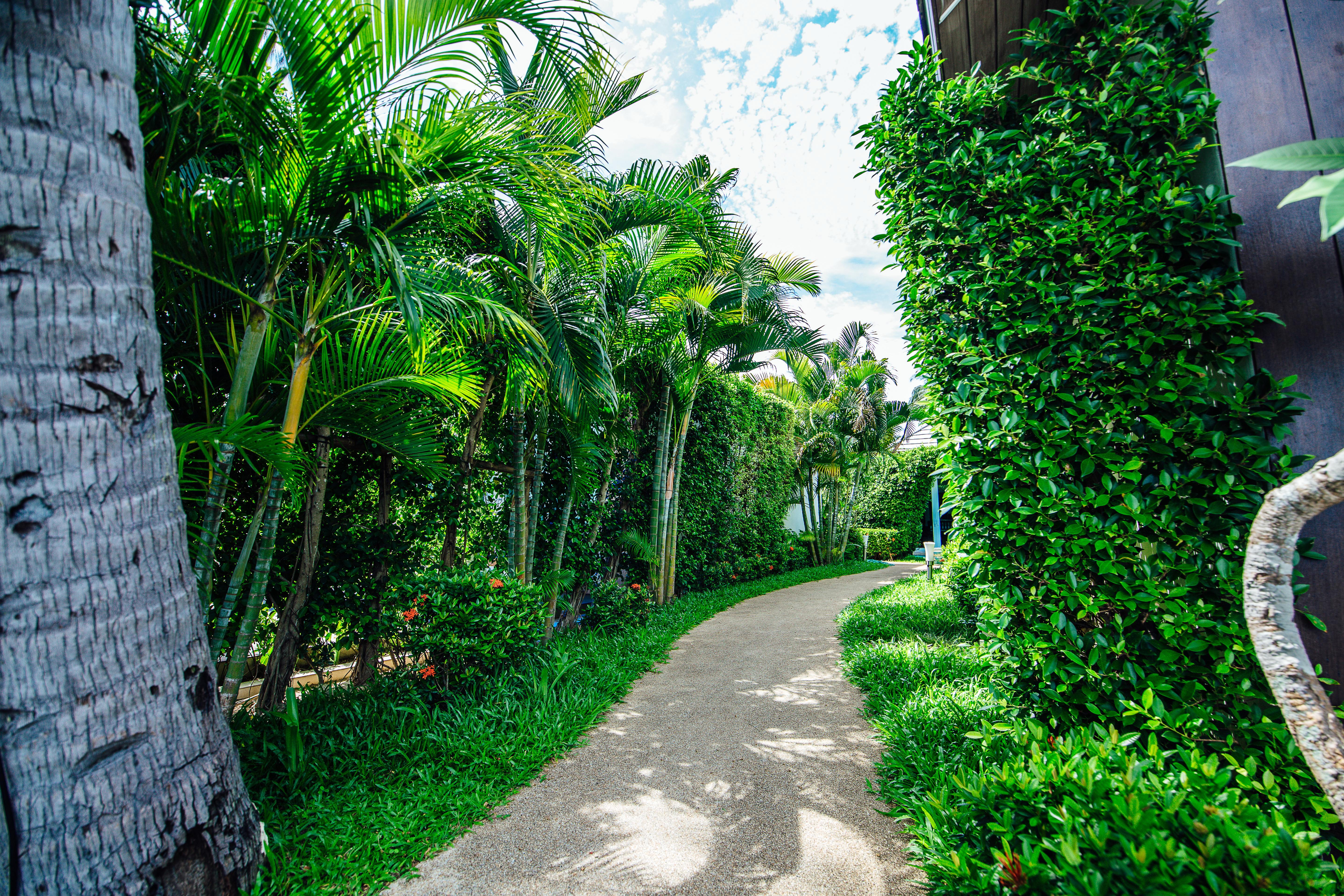Sea Valley Resort Lipa Noi Dış mekan fotoğraf